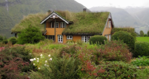 Voor- en nadelen van een groen dak